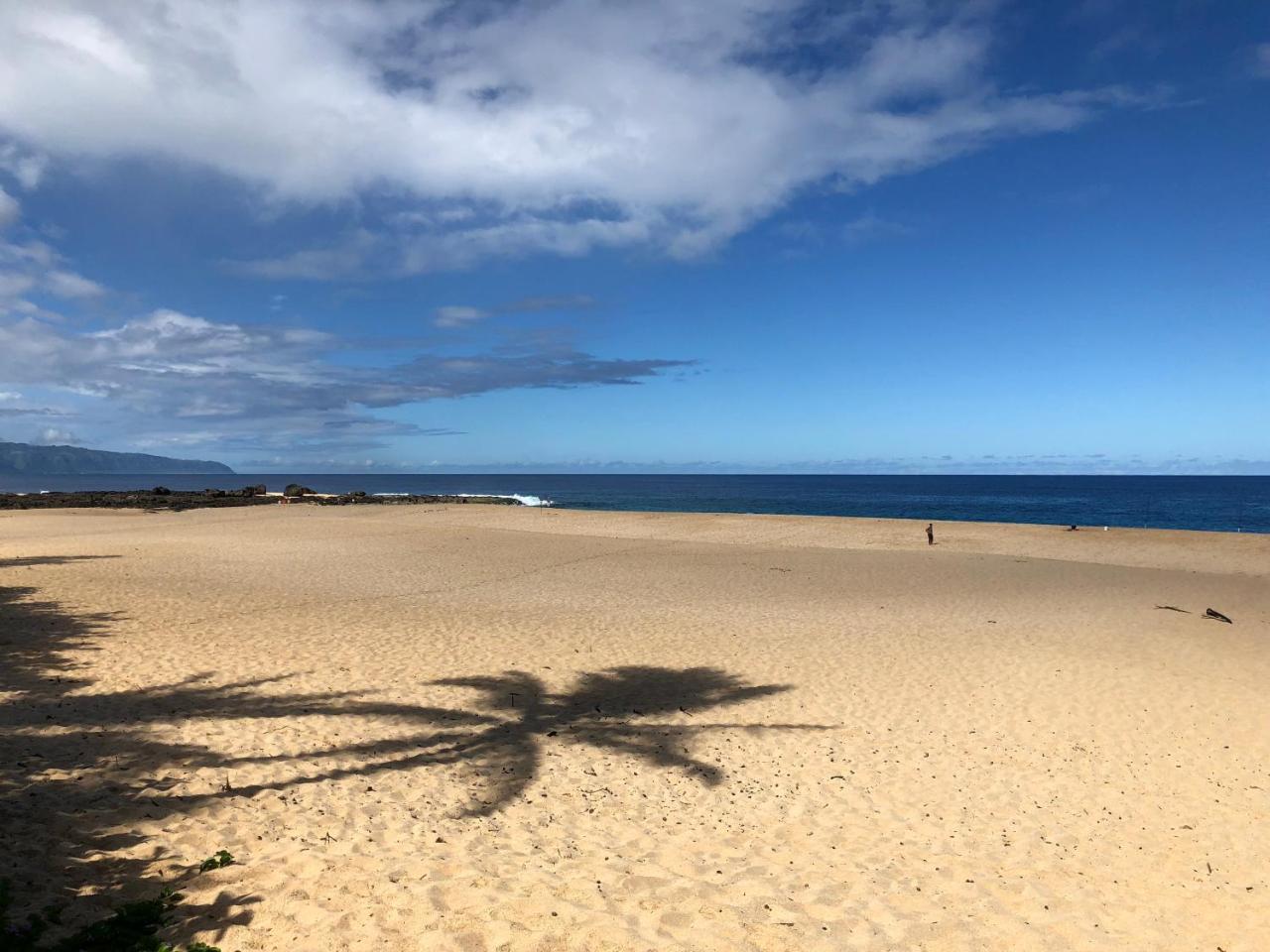 Beach Studio By Shark'S Cove Haleiwa Eksteriør billede